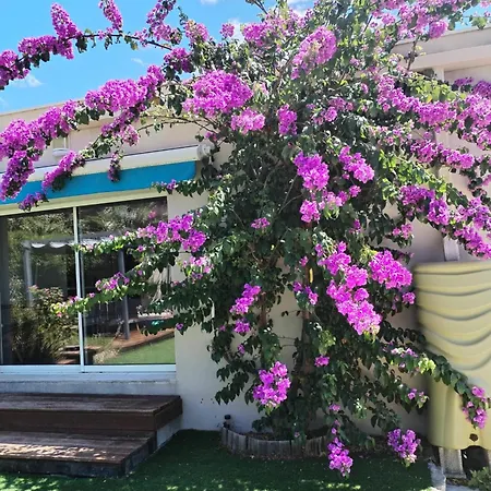 Maison Lumineuse Avec Jardin Au Calme Semesterbostad Le Crès